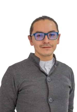 Docente de Maestría en Educación