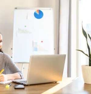 Administración de empresas virtual